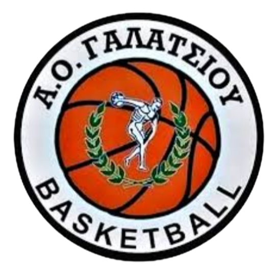 https://img.sc315.com.cn/img/basketball/team/99aa3f28c95a20cc802a5f1a5af87719.png